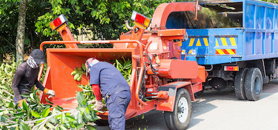 tree service in Madison, WI